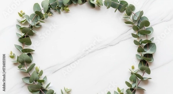 Fototapeta Eucalyptus leaves in an open oval on white marble with gray veins