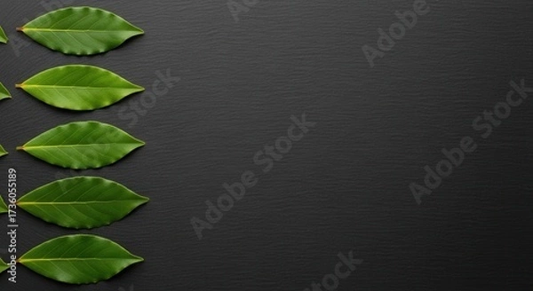 Fototapeta Five fresh green leaves neatly aligned on a dark textured surface with ample dark background