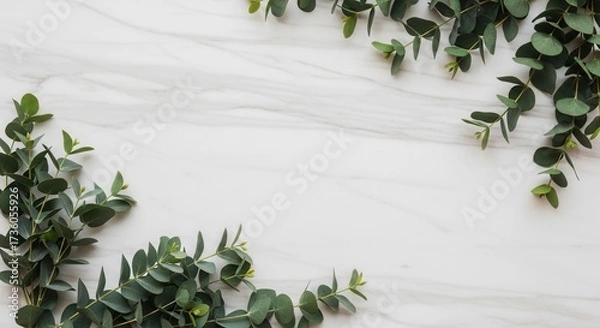 Fototapeta Fresh green eucalyptus branches are artfully arranged on a clean white marble background with subtle grey veining
