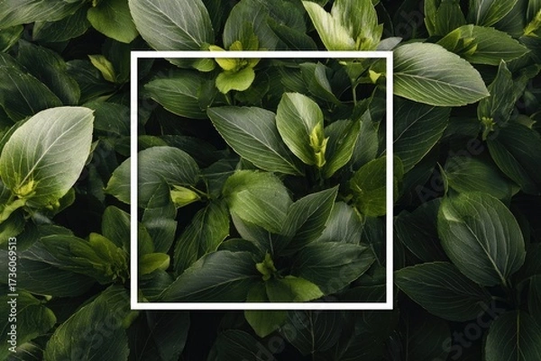 Fototapeta A white square frame sits amidst a vibrant collection of lush green leaves