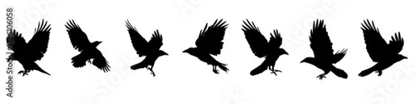 Fototapeta Set of creepy vector silhouettes of flying crows on a white background. Halloween clipart for posters, banners, invitations and holiday decorations