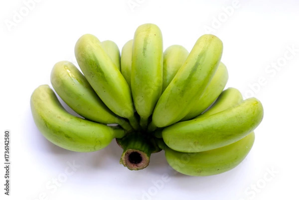 Fototapeta Unripe green bananas in a fresh cluster.