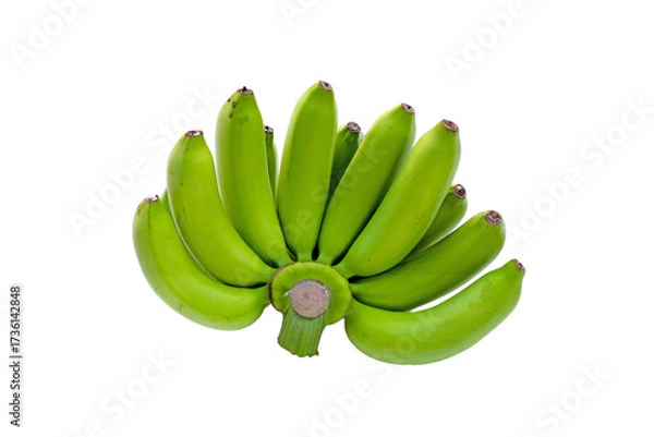 Fototapeta Unripe green bananas in a fresh cluster.