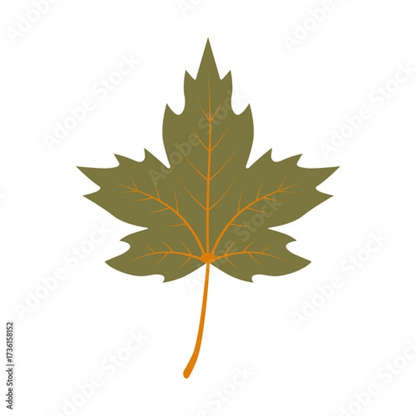 Obraz Autumn maple leaf. Color vector illustration. PNG with transparent background.	