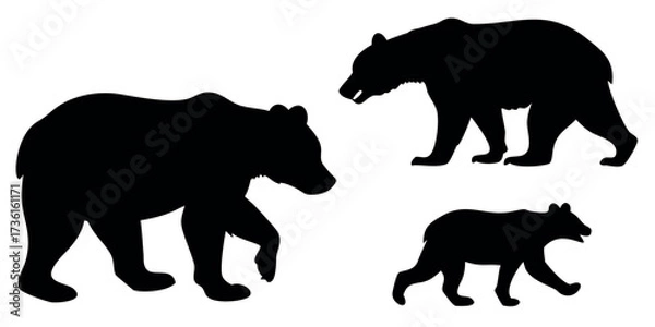 Obraz Vector Silhouette Set of Bears Standing Walking and Cub with Mother