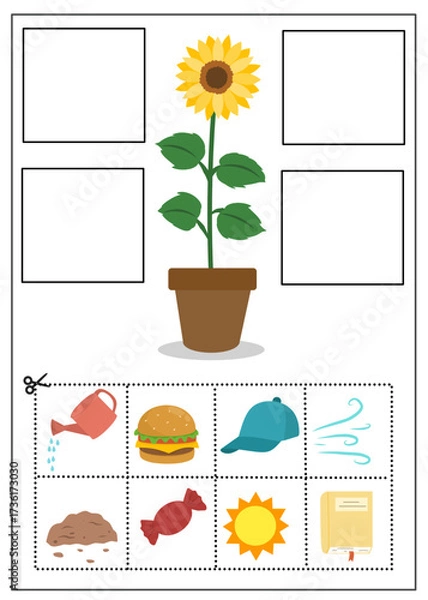 Fototapeta Cut and paste worksheet for kids to learn what plants need to grow, such as water, sun, air, and soil. What's plant needs worksheet for kids.