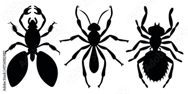Obraz Vector Silhouette Set of Insects Spider Ant and Beetle