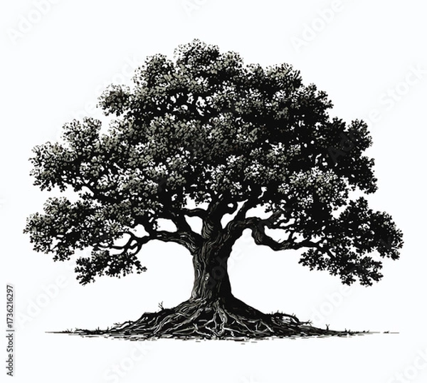Fototapeta Vintage Tree Silhouette with Roots Vector Design