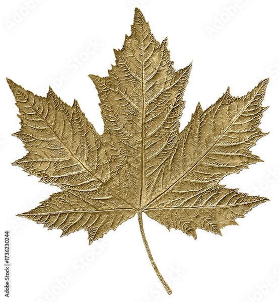 Obraz Golden autumn maple leaf metal