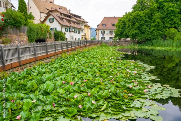 Fototapeta Scenic view of tranquil river with lily pads and charming houses along the waterfront in a picturesque village