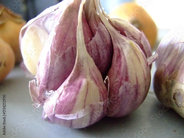 Fototapeta Close-up of fresh purple garlic cloves in natural light, highlighting their texture, color and organic freshness on a kitchen surface
