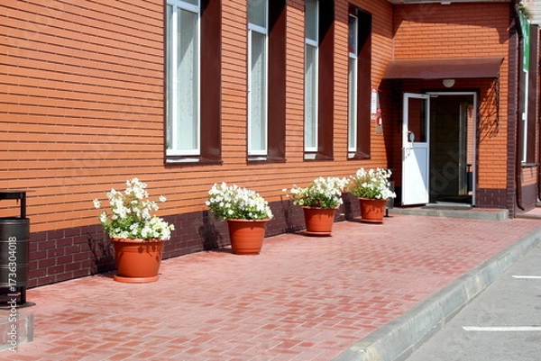 Fototapeta There is a large pot of flowers standing against the wall outside.	