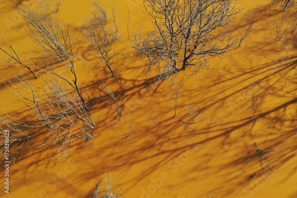 Fototapeta Ecological catastrophe nature pollution concept. Aerial view of abstract natural patterns. Acid mine drainage water background