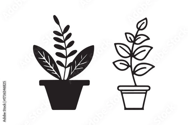 Obraz plant in pots