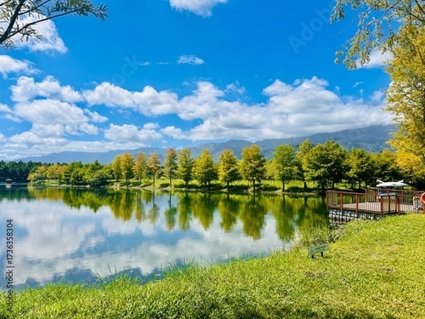 Obraz lake in the park