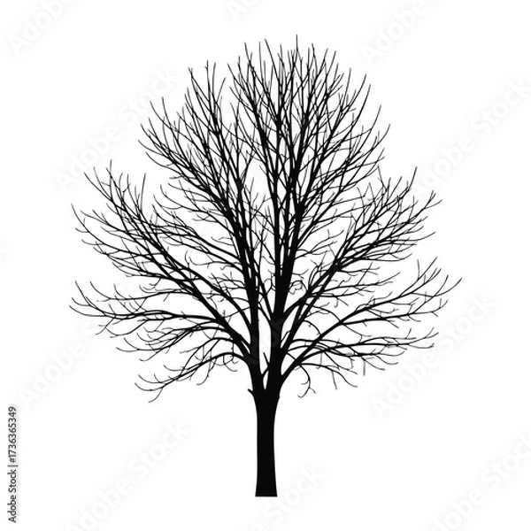 Obraz vector tree silhouette