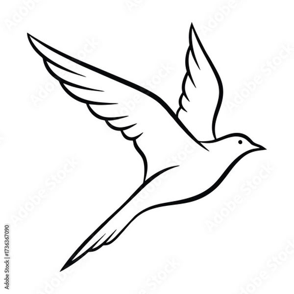 Obraz Soaring Dove in Flight A Symbol of Peace and Freedom