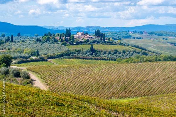 Fototapeta Le colline della Toscana, Italia, con i vigneti di Chianti tra Siena e Firenze lungo la via Romea Sanese