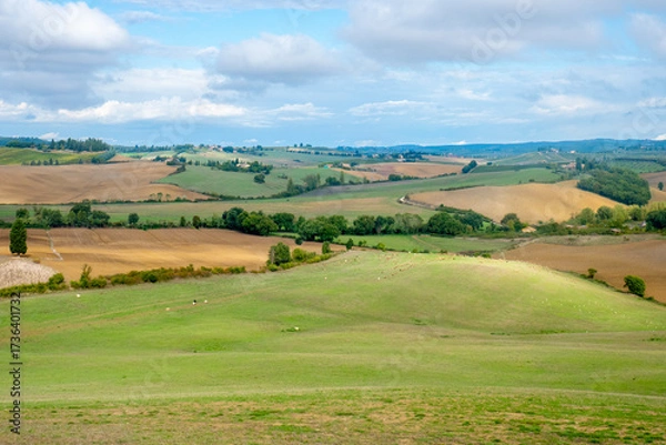 Fototapeta I campi e le colline della Toscana, Italia, con i cipressi, i prati e le coltivazioni tipiche tra Siena e Firenze lungo la via Romea Sanese