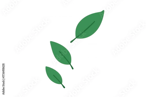 Fototapeta Three green leaves floating, falling, or growing, representing nature, growth, ecology, and organic concepts