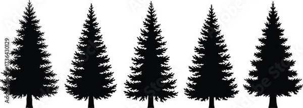 Fototapeta Set of black silhouette pine trees, evergreen forest elements, Christmas fir tree collection vector illustration for holiday, winter, and nature design.