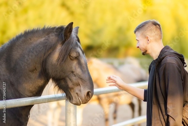 Fototapeta Young man interacting with a black horse at a farm, showcasing a bond between human and animal in a serene outdoor environment with soft sunlight