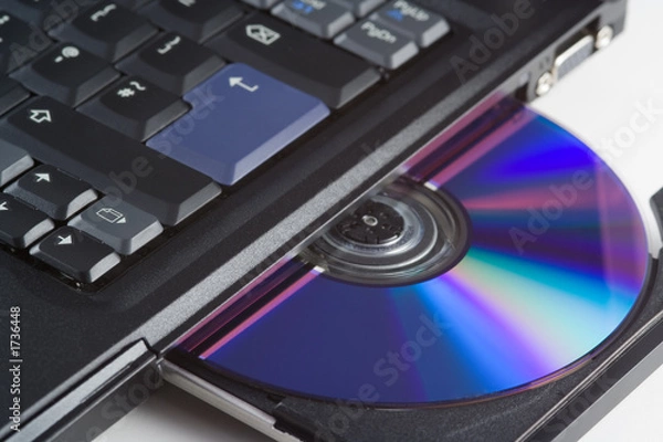 Fototapeta loading software into a laptop