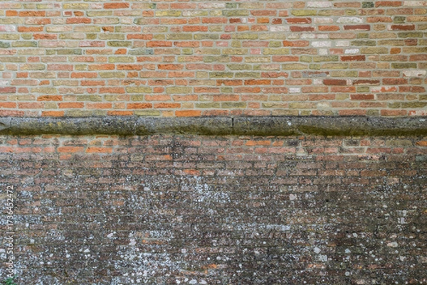 Fototapeta muro