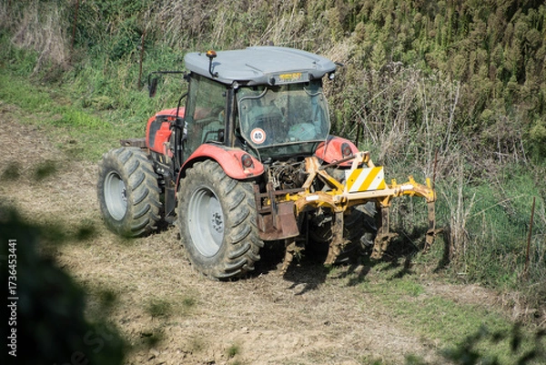 Fototapeta trattore
