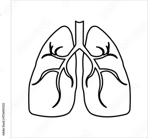 Obraz Lungs flat line icon. Thin vector pictogram of human internal organs, outline illustration for lung clinic.