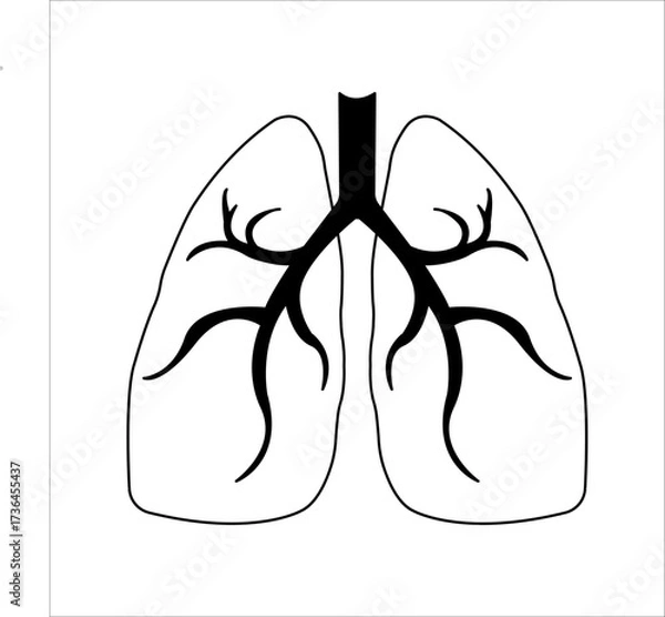 Obraz Lungs flat line icon. Thin vector pictogram of human internal organs, outline illustration for lung clinic.