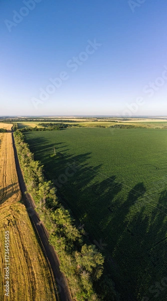 Fototapeta Aerial sunny farmland vertical scenery with agriculture fields and blue sky