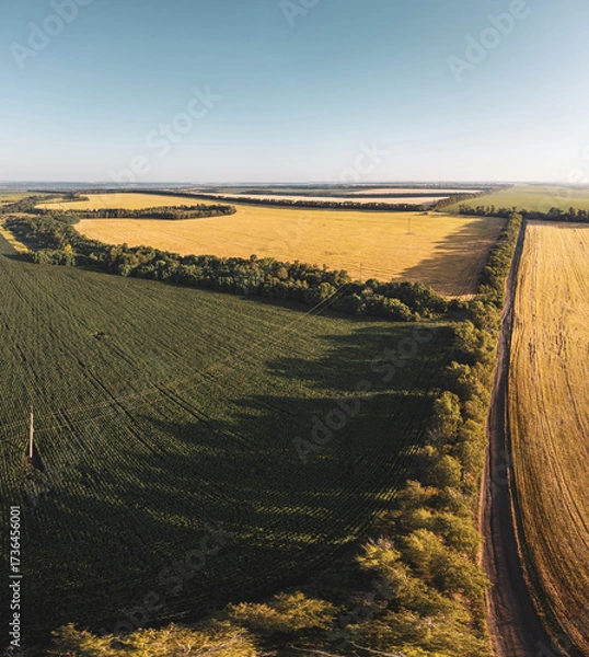 Fototapeta Aerial farmland panoramic view with fertile agriculture fields, golden wheat and green summer crops