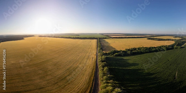 Fototapeta Summer agriculture fields in rural Ukraine, aerial wide view of fertile countryside with natural patterns