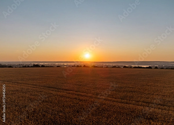 Fototapeta Scenic drone photo of wheat fields and rural farmland at dawn with sun rising above calm countryside landscape