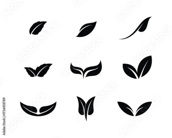 Obraz Tree leaf vector logo design, eco-friendly concept.