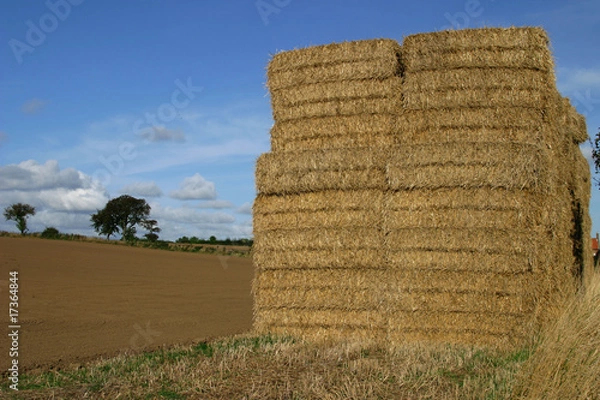 Obraz Hay stack