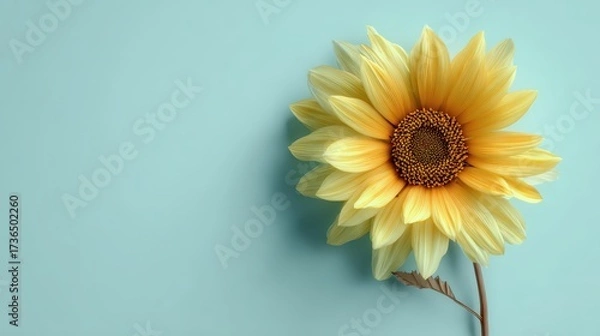 Fototapeta Bright Yellow Sunflower on Soft Blue Background for Fresh Vibes