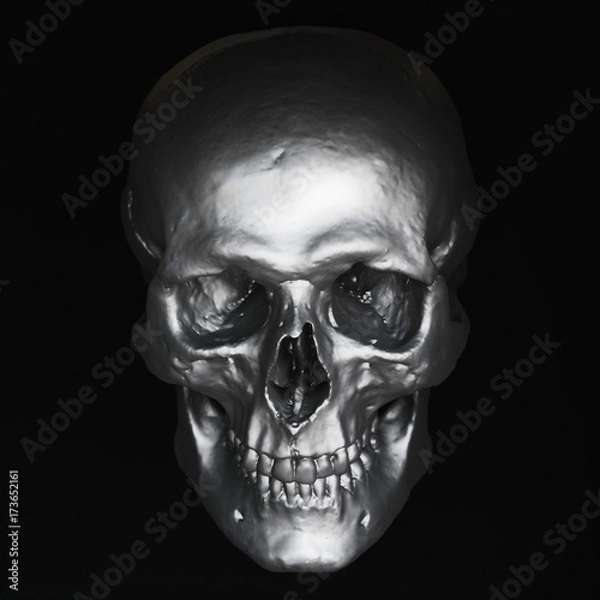Obraz Down-turned dark steel skull model with high contrast lighting and a black background.