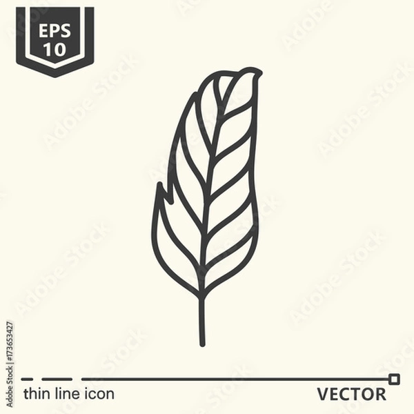 Obraz Thin line icon series - tropical leaf