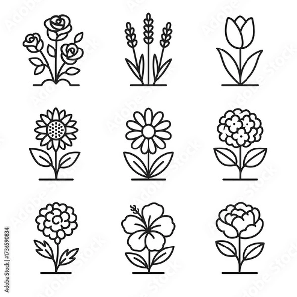 Obraz Garden daisy icons plant lavender icon bush peony tulip vector marigold hydrangea