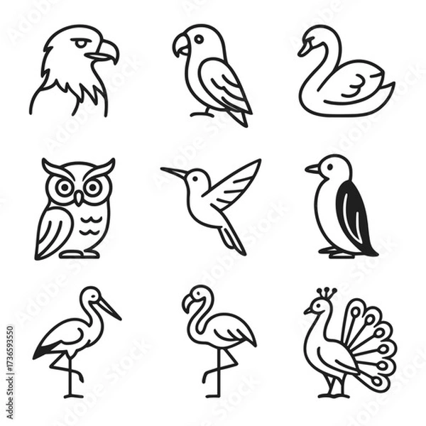 Obraz Eagle grid bird parrot peacock stork vector owl icon swan hummingbird flamingo