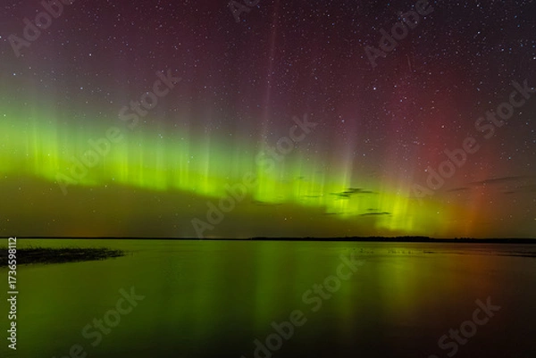 Fototapeta Bright green and red northern lights dance over a calm lake, casting vivid reflections on the water under a star-filled sky during a clear night.