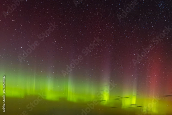 Fototapeta Green and red aurora lights shimmer across the star-filled night sky, creating a surreal and colorful celestial display above the horizon.