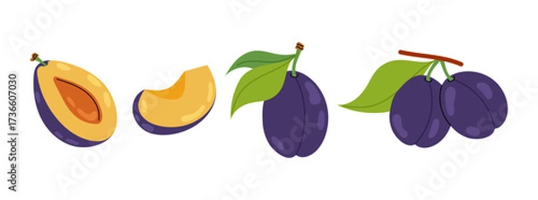 Fototapeta Set flat illustrations ripe plum. Sliced and whole plum on white background. Fruit. Healthy fruit snack.