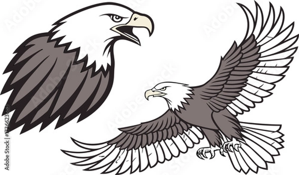 Obraz eagle vector illustration