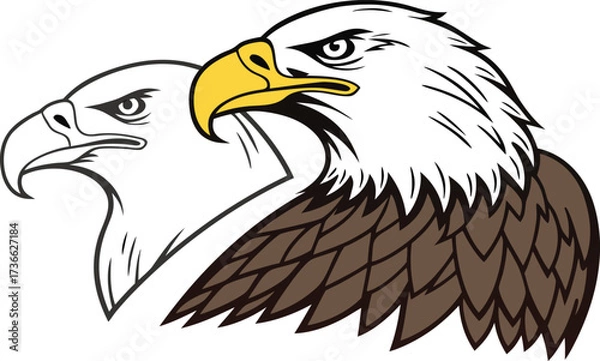 Fototapeta eagle vector illustration