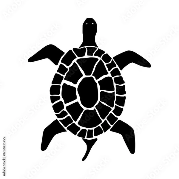 Obraz turtle silhouette in transparent background 