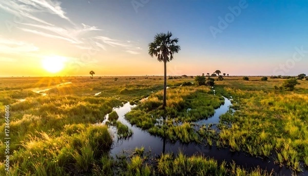Obraz African Sunset Landscape Serene Okavango Delta Botswana.