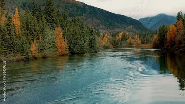 Obraz Autumn forest reflects in a clear mountain river under a cloudy sky